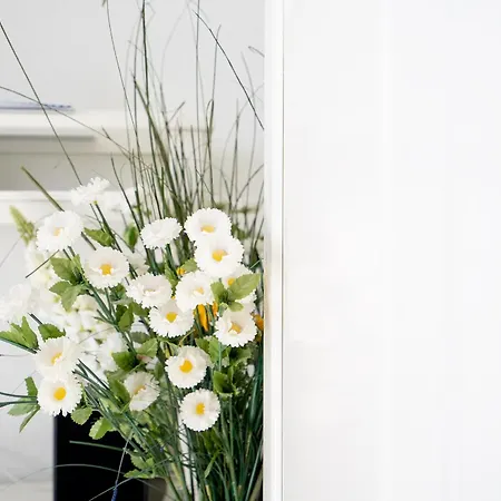 Apartament Liebevoll Eingerichtetes Ca 60 Qm Grosses 3-zimmer-app